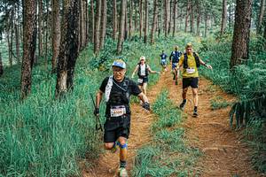 BIB: 
                            <button type="button" onclick="openModal(25661799)" class="btn btn-primary btn-sm float-right btn-popup" data-toggle="modal" data-target=".modal-high-quality">
                        <i class="fas fa-shopping-cart"></i> Add to Cart
                    </button>
                                            <button type="button" onclick="isThisMe(25661799, true)" class="btn btn-success btn-sm float-right btn-popup btn-isme hidden" data-toggle="tooltip" data-placement="bottom" title="นี่คือรูปของคุณใช่ไหม คลิกที่นี่เพื่อเอาเข้าอัลบั้ม">
                        <i class="fas fa-plus"></i> Add to album
                    </button>
                    <button type="button" onclick="isThisMe(25661799, false)" class="btn btn-warning btn-sm float-right btn-popup btn-isnotme hidden">
                        <i class="fas fa-ban"></i> Remove from album
                    </button>